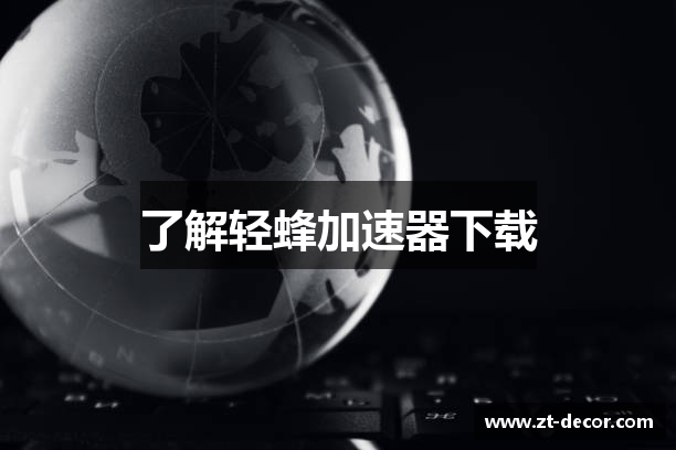 了解轻蜂加速器下载